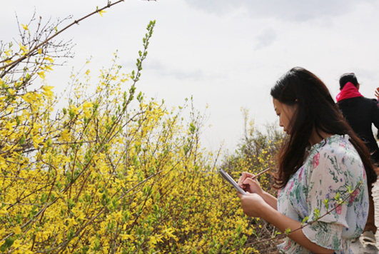 同学们在认真写生